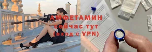 mdpv Бородино