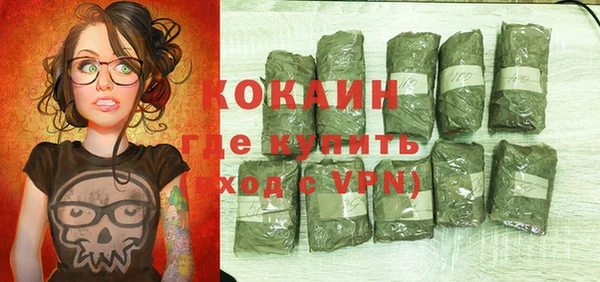 ешки Бронницы