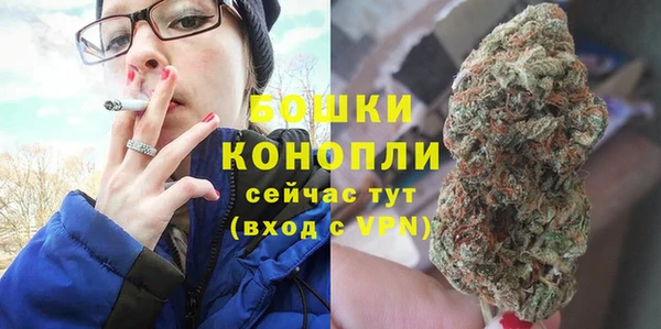 ешки Бронницы