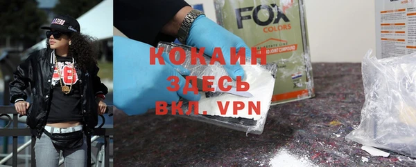 mdpv Бородино