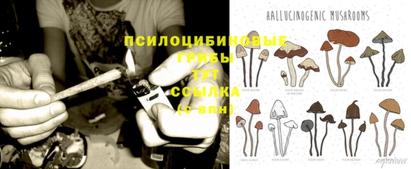 2c-b Липки
