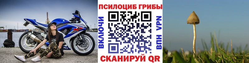 MEGA зеркало Весьегонск Псилоцибиновые грибы ЛСД